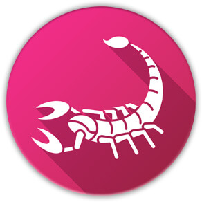 Scorpio zodiac icon