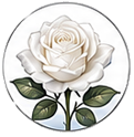 Cancer zodiac flower